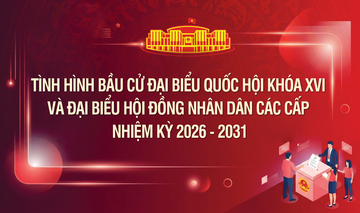 Infographic | Bầu cử đại biểu Quốc hội khóa XVI và đại biểu HĐND nhiệm kỳ 2026-2031