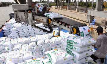 Xuất khẩu phân bón tăng gần 39% trong 2 tháng đầu năm 2026