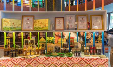 Hội nghị xúc tiến đầu tư tỉnh Gia Lai năm 2026 có gì mới?