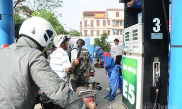 Thúc đẩy nhiên liệu sinh học, giảm phụ thuộc xăng dầu nhập khẩu