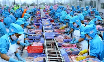 Xung đột Trung Đông: Cơ hội để hàng Việt 'gõ cửa' thị trường Brazil