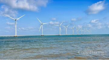 Vĩnh Long: Đánh giá hiệu quả, thúc đẩy phát triển điện gió 