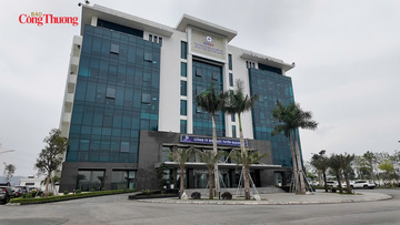 Điện lực Tuyên Quang lan tỏa thông điệp tiết kiệm điện hưởng ứng Giờ Trái đất