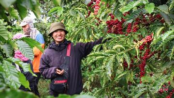 Giá cà phê hôm nay 20/3/2026: Tăng nhẹ 500 đồng/kg