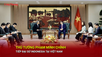 Thủ tướng Phạm Minh Chính tiếp Đại sứ Indonesia tại Việt Nam