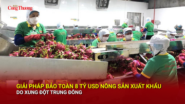 Giải pháp bảo toàn 8 tỷ USD nông sản xuất khẩu do xung đột Trung Đông