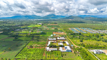 Gia Lai phát triển vùng nguyên liệu tỷ đô cho nông sản chủ lực