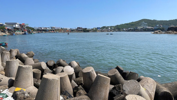 Quảng Ngãi: Tháo gỡ điểm nghẽn luồng cảng cá Sa Huỳnh