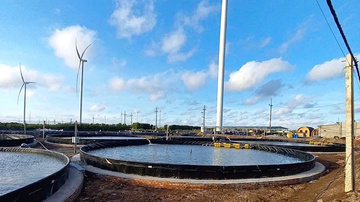 Doanh nghiệp ngành tôm chủ động thích ứng với biến động quốc tế