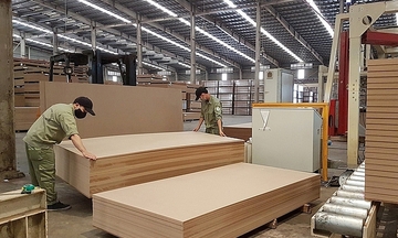 Thương mại, đầu tư Việt Nam - Hà Lan tăng trưởng tích cực