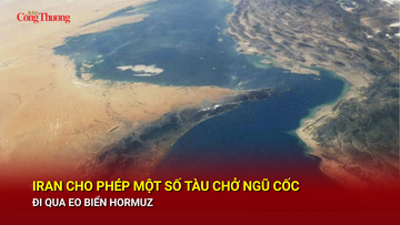 Iran cho phép một số tàu chở ngũ cốc đi qua eo biển Hormuz