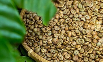 2 tháng năm 2026: Xuất khẩu cà phê Robusta sang Nhật Bản chiếm 63% 