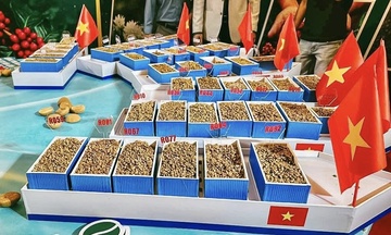 Nâng tầm giá trị cà phê Robusta Gia Lai