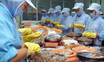 Xuất khẩu thủy sản tăng hơn 20% trong 2 tháng năm 2026 