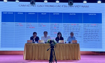 Chủ động thích ứng, mở rộng xuất khẩu gạo