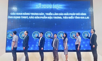 Khai mạc không gian trưng bày, triển lãm thương mại điện tử Gia Lai