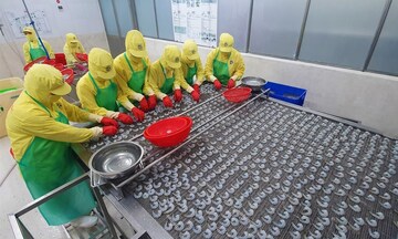 Cà Mau: Chủ động giải pháp ổn định kinh tế vĩ mô, hỗ trợ tăng trưởng