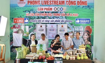 Gia Lai: Lãnh đạo xã lên sóng bán nông sản, gây quỹ cho 1.000 học sinh