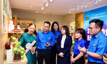 Thanh niên Công Thương vững bước trên mặt trận kinh tế