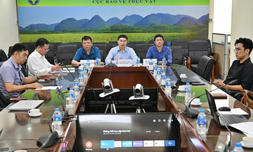 Nông sản Việt trước sức ép mới từ thị trường EU