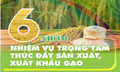 6 nhóm nhiệm vụ trọng tâm thúc đẩy sản xuất, xuất khẩu gạo