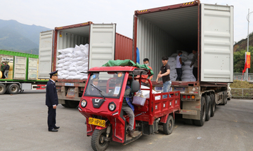 Quảng Ninh: Hỗ trợ doanh nghiệp nâng cao năng lực xuất nhập khẩu