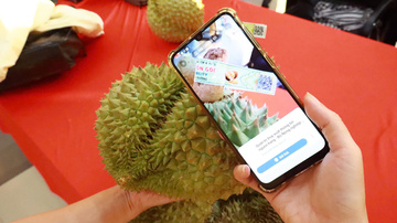 Truy xuất nguồn gốc: 'Hộ chiếu thương mại' của sầu riêng Việt
