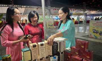 Sâm Nam núi Dành: Từ báu vật tiến vua đến khát vọng vươn tầm quốc tế