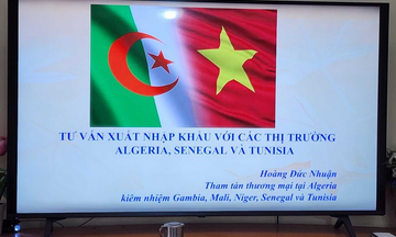 Thương vụ Việt Nam tại Algeria hỗ trợ doanh nghiệp xuất khẩu sang châu Phi