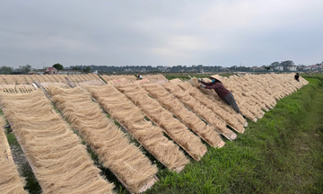 Chủ động đổi mới, đưa sản phẩm OCOP miến làng So vươn ra thị trường lớn