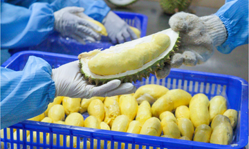 Rau quả Việt Nam mở rộng thị phần tại thị trường Malaysia