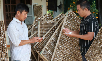 Quảng Ngãi: Người trẻ biến nghề truyền thống thành nghề ‘hái’ ra tiền