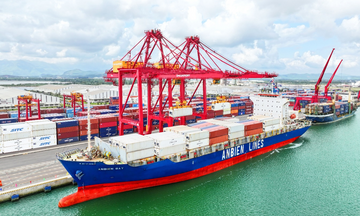 THILOGI tối ưu hóa giải pháp chuỗi lạnh cho trái cây tươi xuất khẩu