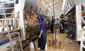 Sơn La triển khai các nhiệm vụ trọng tâm thúc đẩy phát triển kinh tế