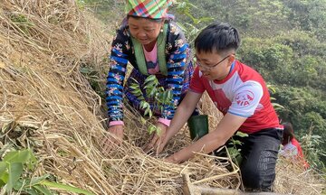 Sùng A Cải: Từ trồng rừng đến tạo sinh kế cho người dân vùng cao