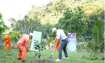 Thủy điện Sông Bung phát động Tết trồng cây và hưởng ứng Giờ Trái đất