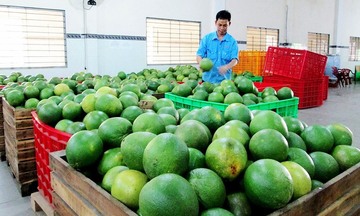 Thương mại Việt Nam - Anh vượt 9,38 tỷ USD, FTA tạo lực đẩy kép