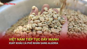Việt Nam tiếp tục đẩy mạnh xuất khẩu cà phê nhân sang Algeria