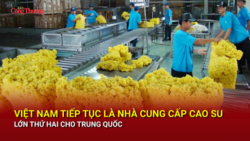 Việt Nam tiếp tục là nhà cung cấp cao su lớn thứ hai cho Trung Quốc