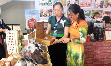 Điện Biên: Đẩy mạnh phát triển OCOP, gia tăng giá trị nông sản bản địa