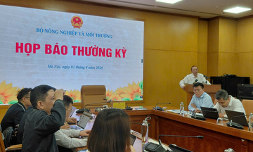 Xuất khẩu nông, lâm, thủy sản quý I/2026 chịu áp lực giảm giá