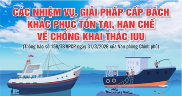 Các nhiệm vụ, giải pháp cấp bách khắc phục tồn tại, hạn chế về chống khai thác IUU