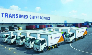 Transimex lên kế hoạch giảm doanh thu, tăng lợi nhuận