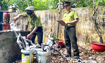 Kiểm soát chặt 'cơn sốt' muội hồng, ngăn hệ lụy từ sớm