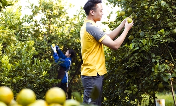 Hành trình thương hiệu nông sản Việt vươn ra thế giới