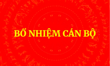 Thủ tướng phê chuẩn kết quả bầu Chủ tịch, Phó Chủ tịch UBND cấp tỉnh nhiệm kỳ 2026-2031