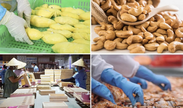 Việt Nam - Ukraine: Đón 'làn sóng' tái thiết, mở rộng không gian hợp tác kinh tế