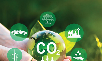 Trao đổi tín chỉ carbon sẽ được thực hiện ra sao?