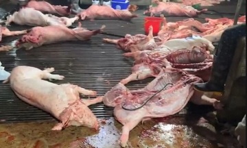 An toàn thực phẩm: Cần hành động quyết liệt, không thể chậm trễ