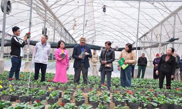 Đổi mới sáng tạo tạo động lực phát triển doanh nghiệp tỉnh Hưng Yên